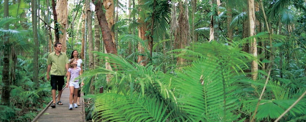 Smithfield-Rainforest